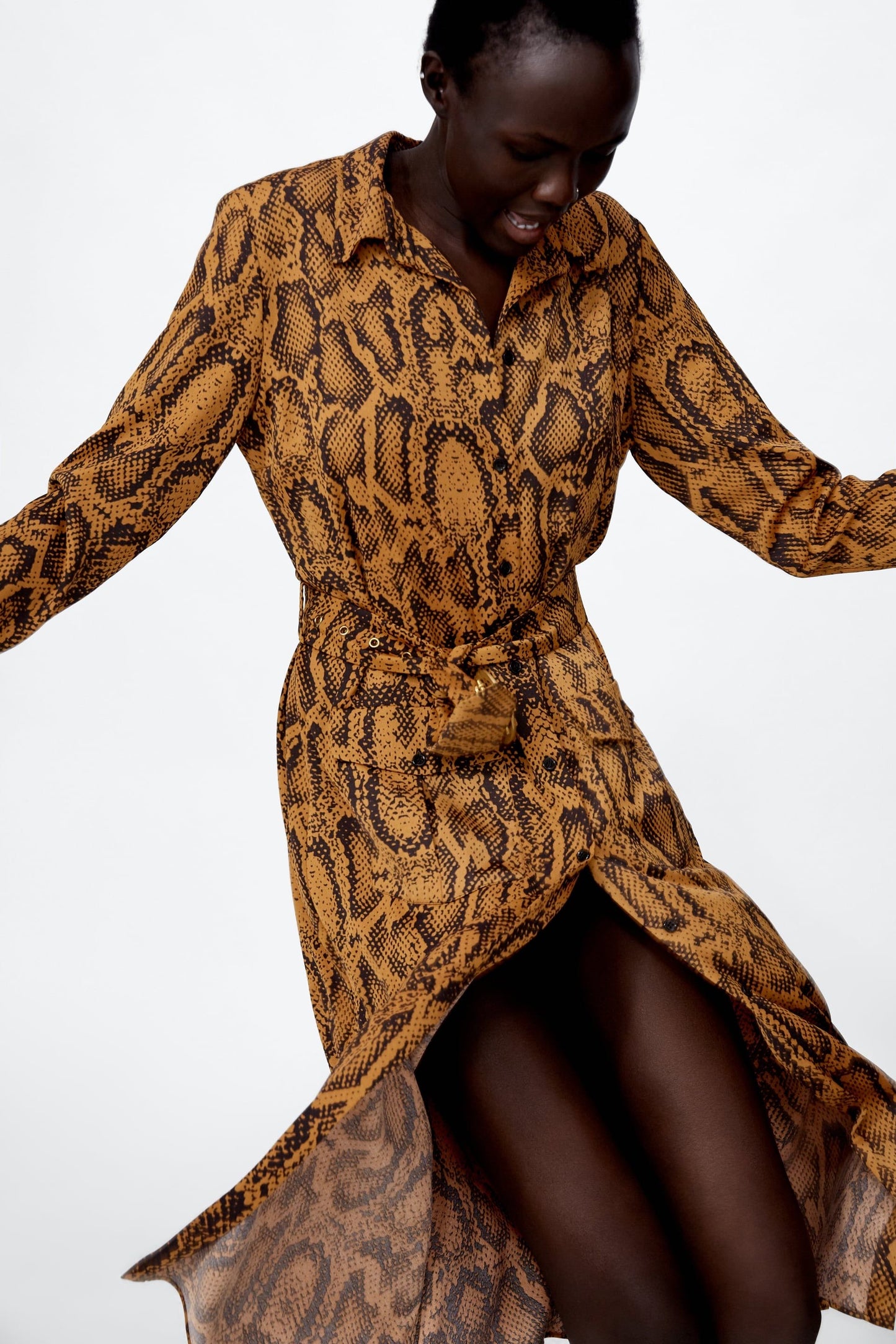 Zara Snake Print Belted Dress